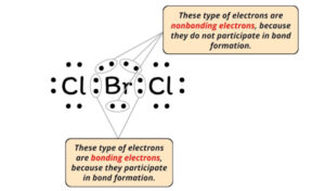 Lewis Structure of BrCl2- (With 5 Simple Steps to Draw!)