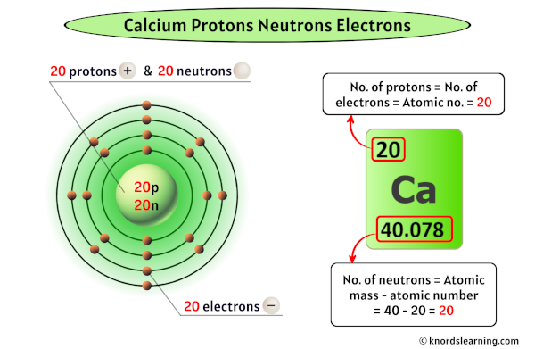 Calcium Protons Neutrons Electrons (And How to Find them?)