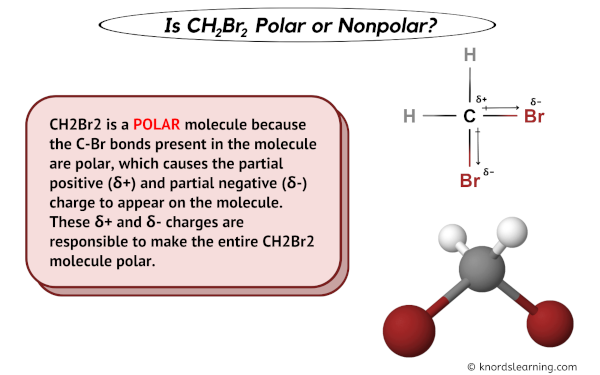 Is CH2Br2 Polar or Nonpolar