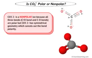 Is CO3 2- Polar or Nonpolar? (And Why?)