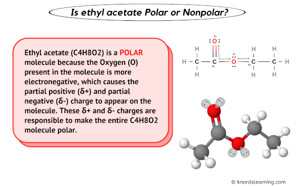 Is Ethyl acetate polar or nonpolar