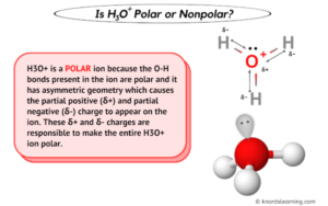 Is H3O+ Polar or Nonpolar? (And Why?)