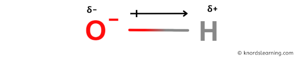 Is OH- Polar or Nonpolar