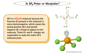 Is SF4 Polar or Nonpolar? (And Why?)