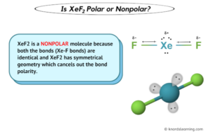 Is XeF2 Polar or Nonpolar? (And Why?)