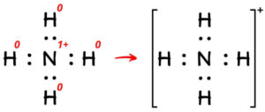 What Is The Charge On Nh4 (ammonium Ion)? And Why?