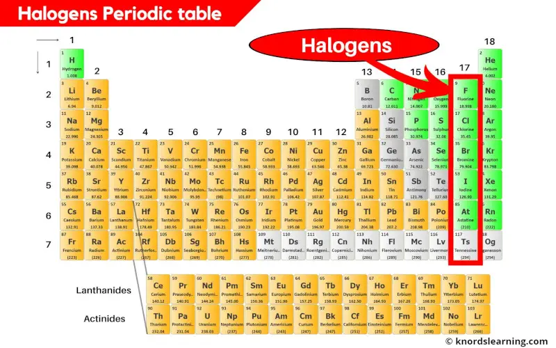 Halogens Periodic Table