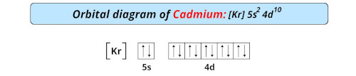 orbital diagram of cadmium