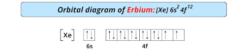 orbital diagram of erbium