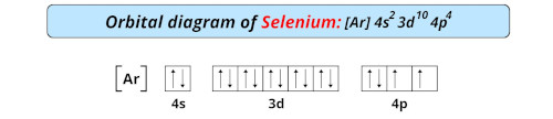 orbital diagram of selenium